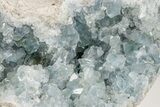 Sky Blue Celestite Crystal Geode - Madagascar #201471-4